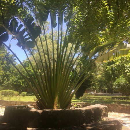 Botanical Gardens